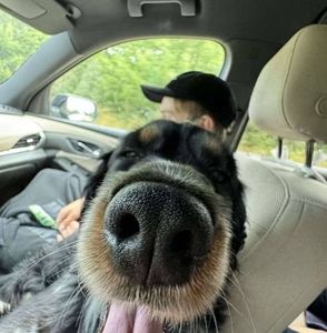 Meet your Posher, Egg